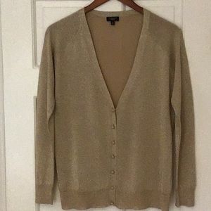Sweater, Talbots, petite M, long sleeve, metallic knit, worn once
